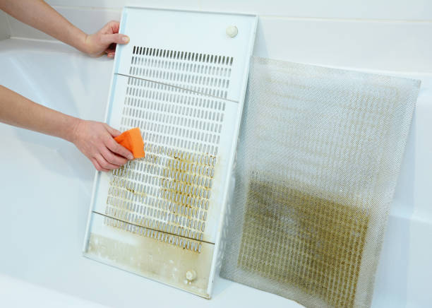 Best Home Air Vent Cleaning  in Clio, MI